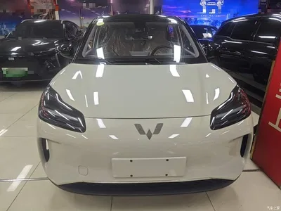 2024 Wuling Motors Wuling Binguo PLUS 401km Range 5-seater, фото 3, лот 10836135