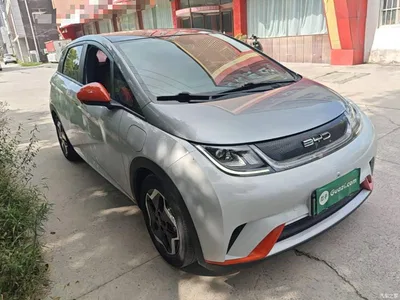 2021 BYD Dolphin Model 405km Fashion Edition, фото 4, лот 10260432
