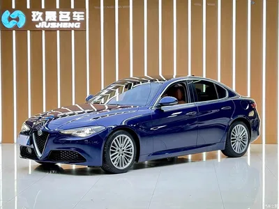 2017 Alfa Romeo Giulia 2.0T 200HP Luxury Edition, фото 1, лот 10239849