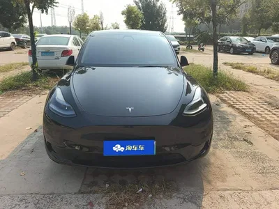 2022 Tesla Model Y Rear-Wheel Drive Version, фото 2, лот 11201519