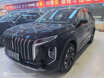 2025 Hongqi HS7 PHEV Revised Model 2.0T PHEV 2WD Flag Luxury Edition 6-Seater, фото 1, лот 11254881