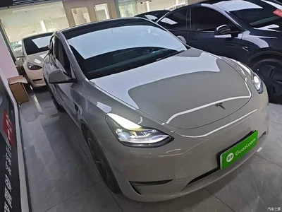 2021 Tesla Model Y Standard Range Rear-Wheel Drive, фото 4, лот 10370034
