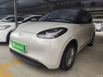 2023 Wuling Motors Wuling Bingo Model 333km Joy+ Version, фото 1, лот 10371182