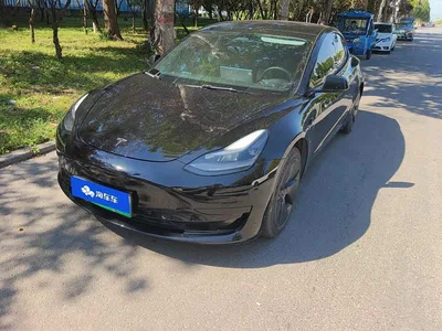 2022 Tesla Model 3 Model Rear-Wheel Drive Version, фото 1, лот 10368935