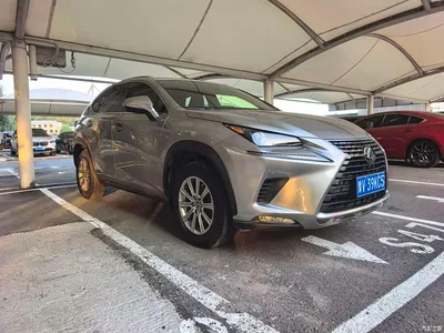 2020 Lexus NX 200 AWD F Sport China VI, фото 3, лот 10317996