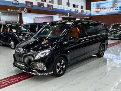 2024 Mercedes-Benz Vito 2.0T Business 7-Seater, фото 1, лот 10680066
