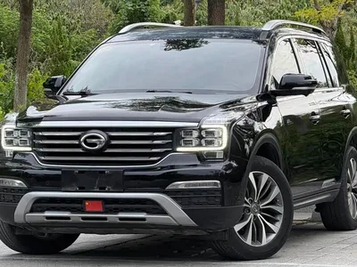 2017 GAC Trumpchi Trumpchi GS8 320T 2WD Luxury Smart Connect (7-seater), фото 1, лот 10392427