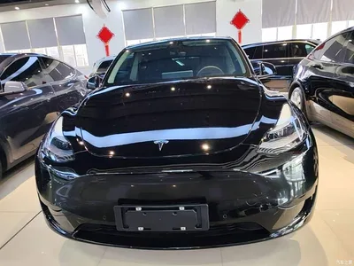 2022 Tesla Model Y Rear-Wheel Drive Version, фото 3, лот 10370047