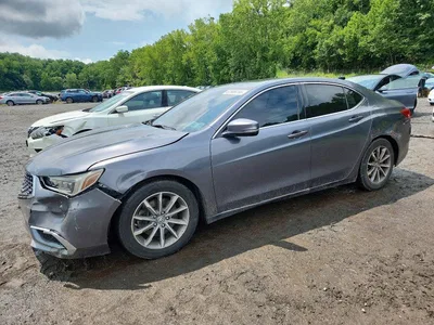 2019 ACURA TLX, фото 1, лот 10711786