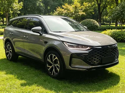 2025 BYD Tang New Energy Smart Driving Edition DM-i 115KM Flagship, фото 3, лот 10273268