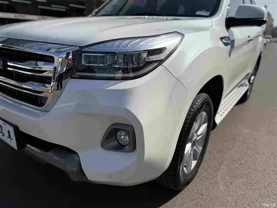 2020 Haval H9 2.0T Gasoline 4WD Smart Enjoyment 5-Seater, фото 3, лот 10399143