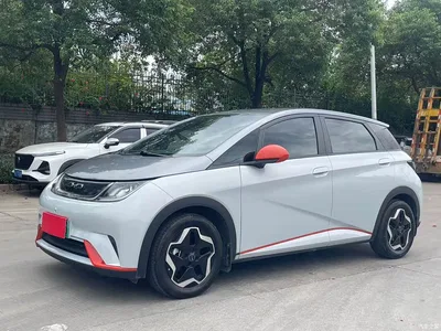 2021 BYD Dolphin 405km Freedom Edition, фото 1, лот 10246281