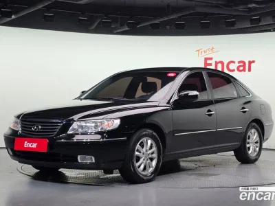 2009 Hyundai Grandeur LPI Q270 Handicapped, фото 1, лот 10226781