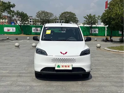 2025 Wuling Motors Wuling Hongguang New Energy Model Range Extender Hybrid 50KM Standard, фото 2, лот 11567876