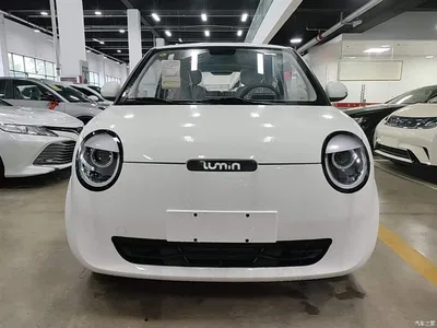 2025 Changan Qiyuan Changan Lumin 205km Fragrant Infusion Edition, фото 3, лот 10408840