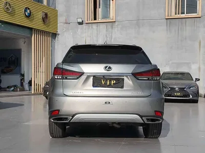 2020 Lexus RX 300 4WD Elegance Edition China VI, фото 4, лот 10316455