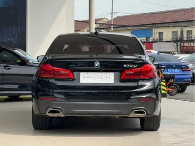 2020 BMW 5 Series 530Li Leading M Sport Package, фото 3, лот 11106790