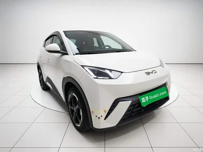 2024 BYD Seagull Glory Edition 405km Soaring Edition, фото 3, лот 10385824