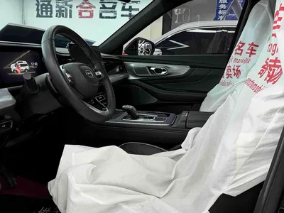 2022 GAC Trumpchi Trumpchi GS8 Pilot Series 2.0TGDI 4WD Luxury Smart Connect Edition (7-Seater), фото 4, лот 10414828