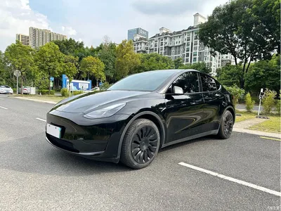 2023 Tesla Model Y Rear-Wheel Drive Edition, фото 2, лот 11408036