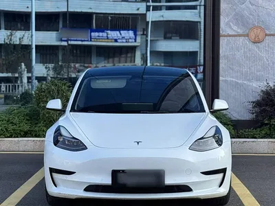 2022 Tesla Model 3 Model Rear-Wheel Drive Version, фото 3, лот 11138864