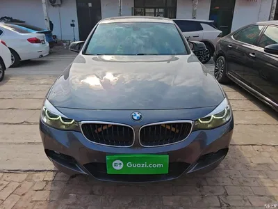 2019 BMW 3 Series GT 320i M Sport Model, фото 3, лот 10473617