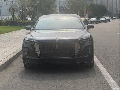 2024 Hongqi H9 2.0T Qi Chang Private Fashion Edition, фото 3, лот 10288996