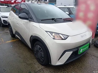 2024 BYD Seagull Glory Edition 305km Vitality Edition, фото 4, лот 11249698