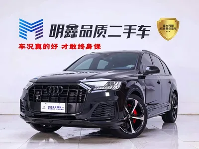 2022 Audi Q7 55 TFSI quattro S line Ice & Snow Edition, фото 1, лот 10238534