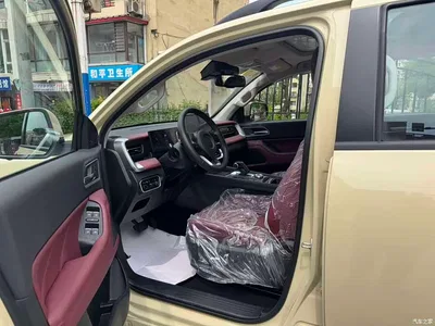2026 Great Wall Pao Cannon Off-Road 2.0T Automatic Gasoline 4WD Premium Edition, фото 4, лот 10245997