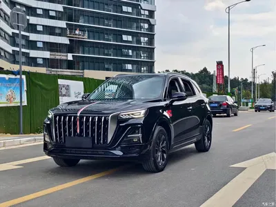 2023 Hongqi HS5 2.0T Flag Joy Pro Edition, фото 1, лот 10289195