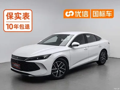 2024 Byd Qin, фото 1, лот 10243708