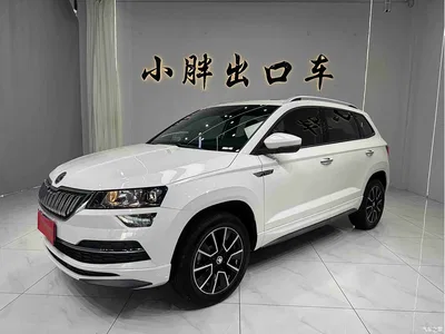 2022 Škoda Karoq TSI280 Premium Edition, фото 1, лот 10349169