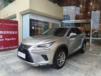 2018 Lexus NX Model 300 AWD Fengshang Edition, фото 2, лот 10396651