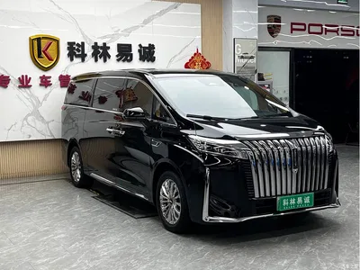 2023 WEY Alpine AWD Executive Long Wheelbase, фото 3, лот 11568394