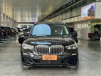 2020 BMW X5 (Import) xDrive40i M Sport Package, фото 2, лот 10423461