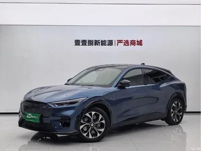 2021 Ford Mustang Mach-E Boundless RWD Luxury (Long Range), фото 1, лот 10281162