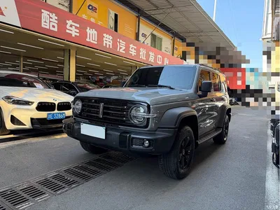 2021 Tank 300 Off-road Edition 2.0T Challenger, фото 1, лот 10902379