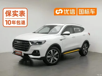2021 Haval H6 National Trend Edition 1.5GDIT Automatic Luxury Edition, фото 1, лот 11219933