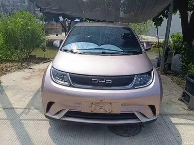 2021 BYD Dolphin 405km Freedom Edition, фото 3, лот 10263986