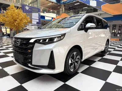 2021 GAC Trumpchi Trumpchi M6 PRO 270T Automatic Premium Edition, фото 1, лот 10817512