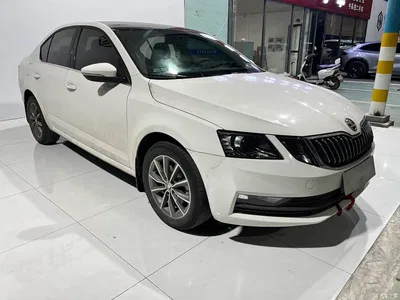 2022 Škoda Octavia 1.5L Automatic Comfort Edition, фото 3, лот 10768017