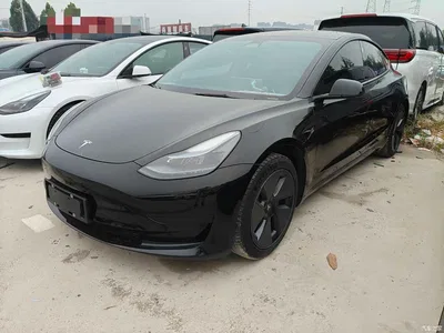 2023 Tesla Model 3 Rear-Wheel Drive, фото 1, лот 11134612