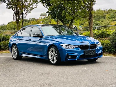 2017 BMW 3 Series 320Li M Sport, фото 3, лот 11211184