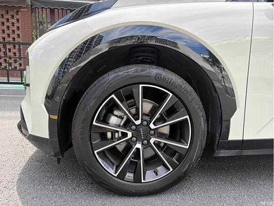 2023 ZEEKR X RWD ME Edition 5-seater, фото 4, лот 10291203