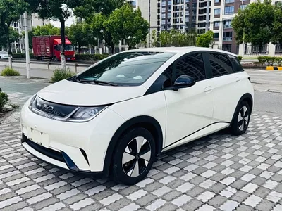 2024 BYD Dolphin Glory Edition 420km Freedom Edition, фото 1, лот 10955131