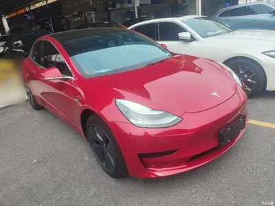 2019 Tesla Model 3 Standard Range Rear-Wheel Drive Upgrade, фото 4, лот 10667772