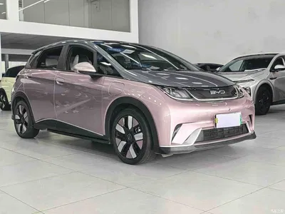 2021 BYD Dolphin 401km Knight Edition, фото 3, лот 10769445