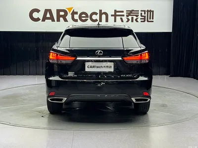 2021 Lexus RX 300 AWD Special Edition, фото 2, лот 10312518