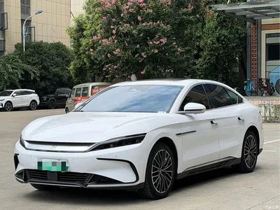 2023 BYD Han EV Champion Edition 506KM FWD Premium, фото 1, лот 10256724